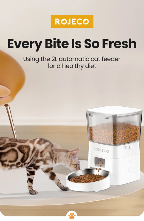 Dog Feeder Automatic Smart Pet Food