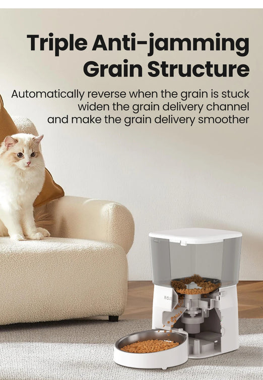 Dog Feeder Automatic Smart Pet Food