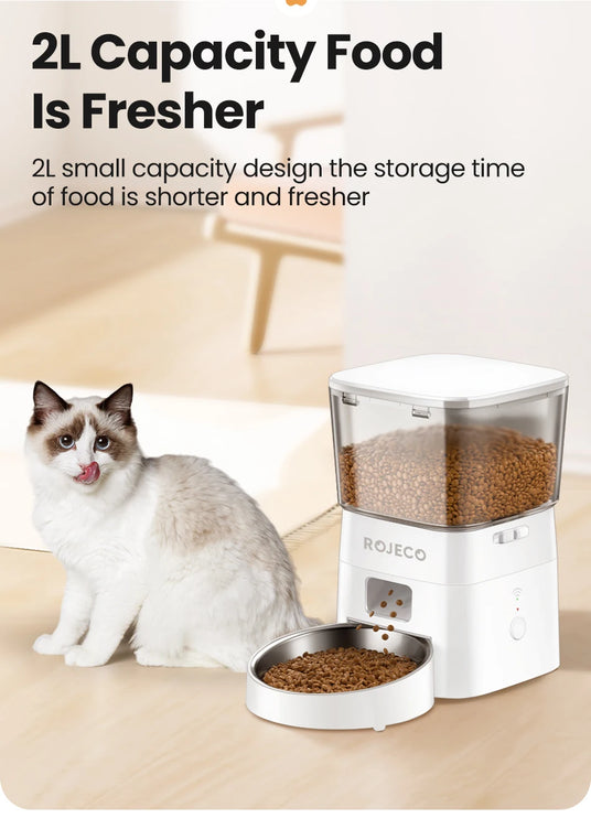 Dog Feeder Automatic Smart Pet Food